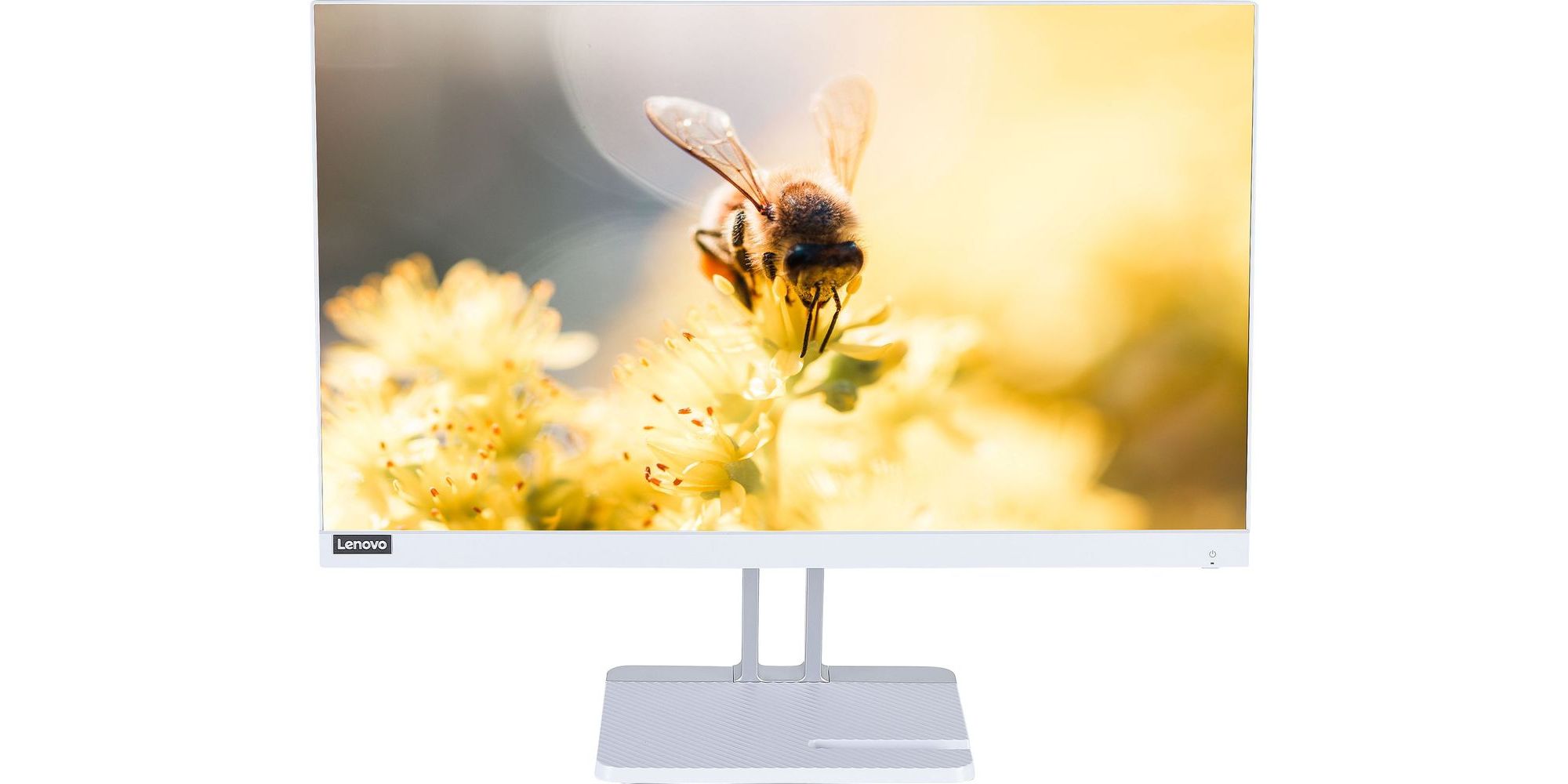 Lenovo L24e-40 computer monitor
