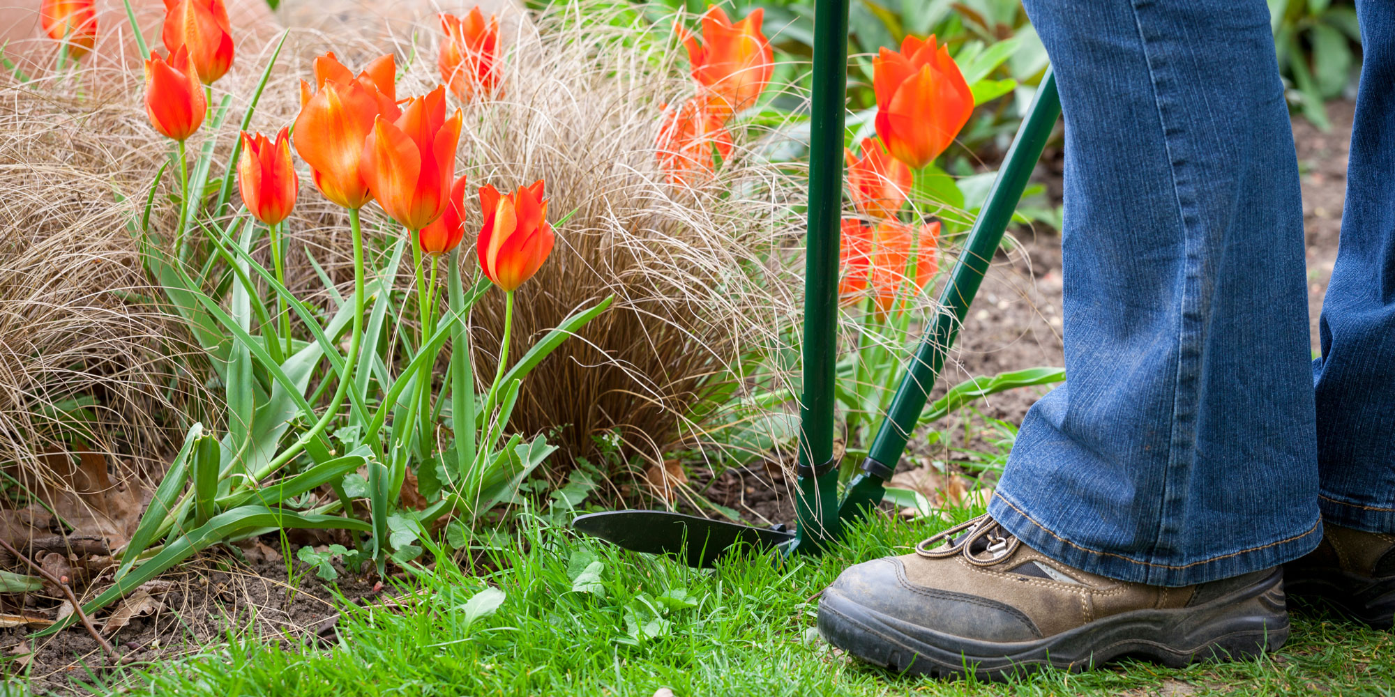 Lawn edging shears