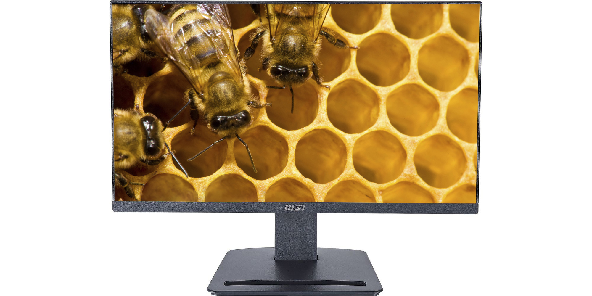 MSI Pro MP223 computer monitor