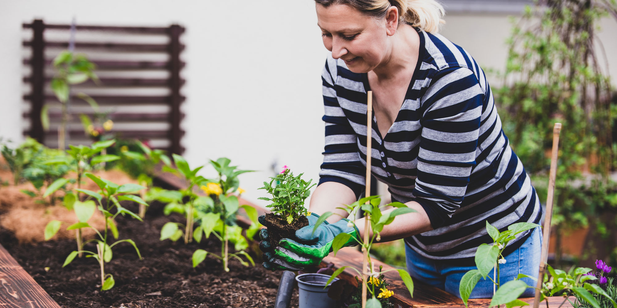 Woman gardening with raised beds