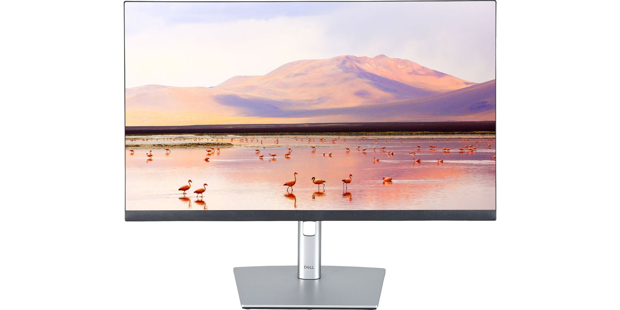 Dell P2422H 24" computer monitor