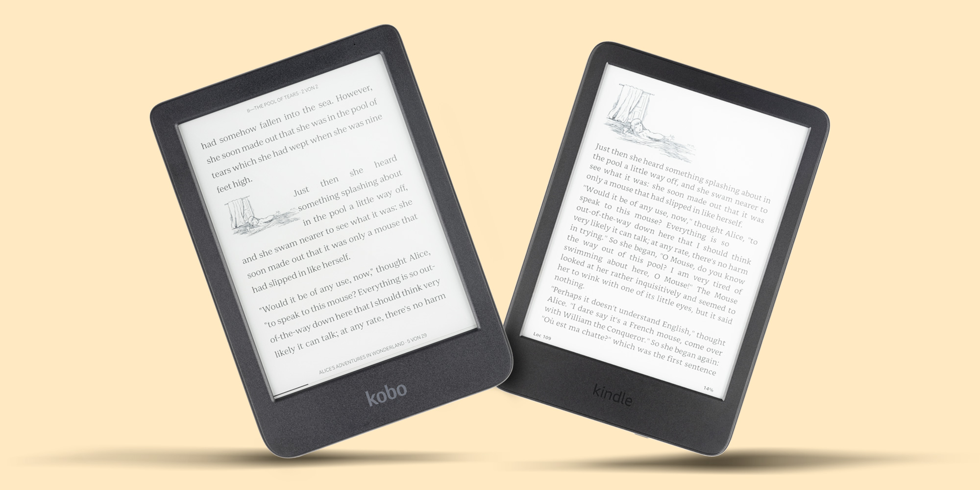 e-reader lead image