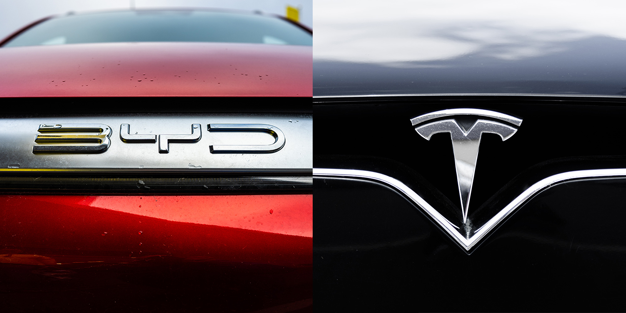 BYD and Tesla logos on cars
