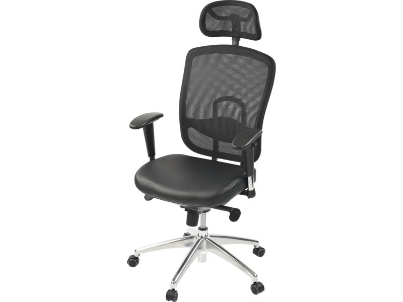 Nautilus Designs Liberty Mesh Back Executive Chair